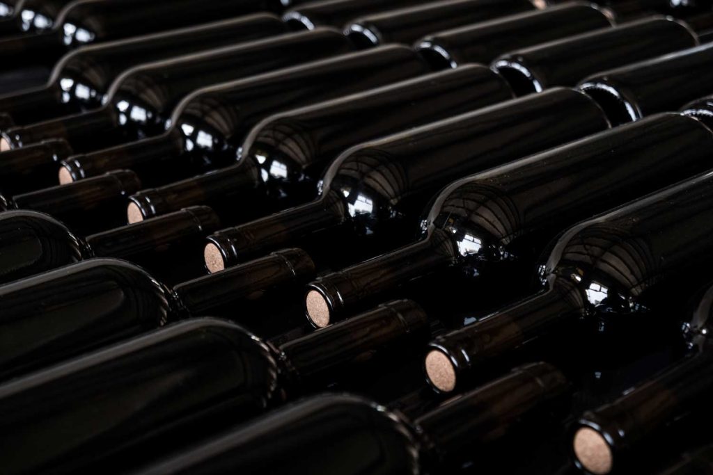 New lorem nulla dolor glavrida